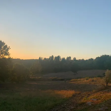 A Casa Amarela アパート