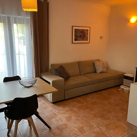 A Casa Amarela Pinheiro de Coja