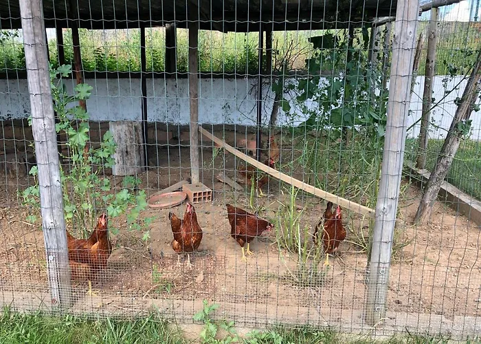 A Casa Amarela * Pinheiro de Coja